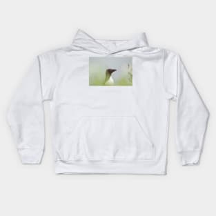 Razorbill with muted background Kids Hoodie